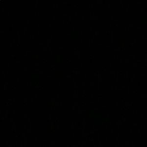 Meet your Posher, Bella